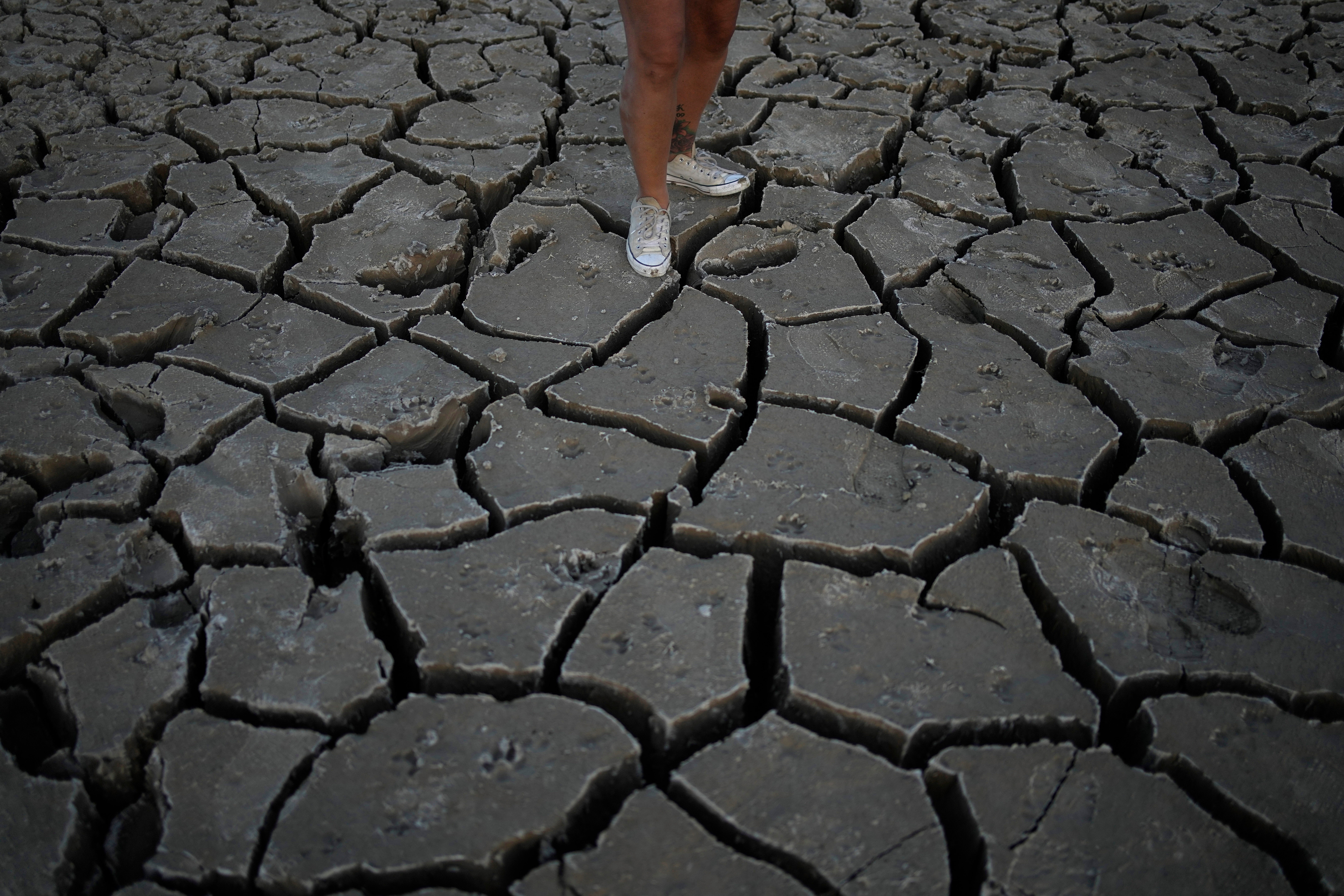 Lake Mead Human Remains
