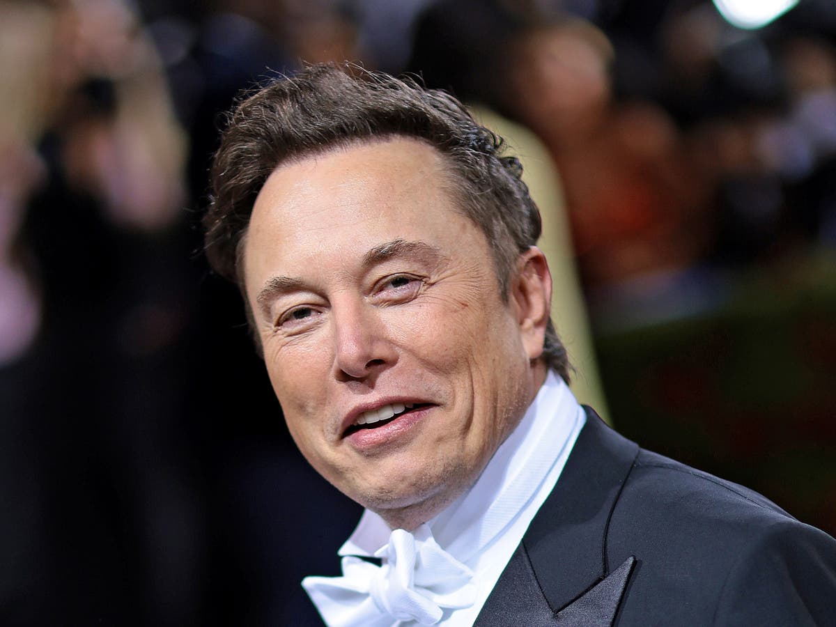 Elon Musk says he will hand Twitter over to YouTube star MrBeast if he ‘dies under mysterious circumstances’