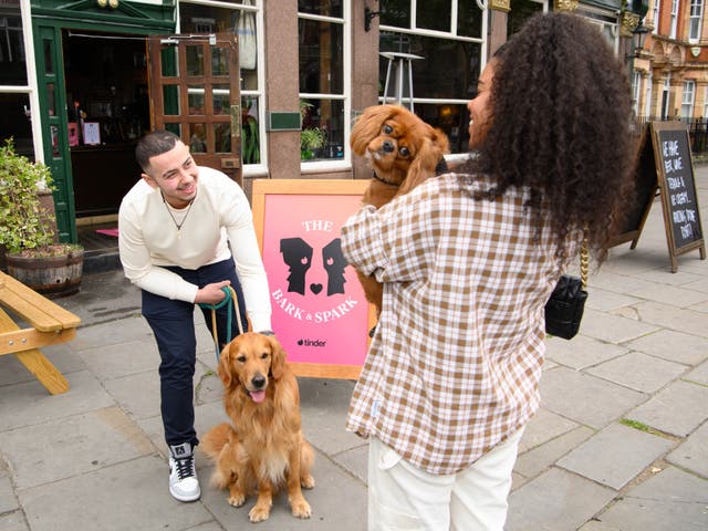 <p>Man’s best friend: the ultimate wingman/woman?</p>