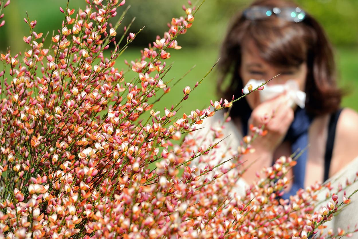 Hay fever warning as Met Office says climate change could be making it ...