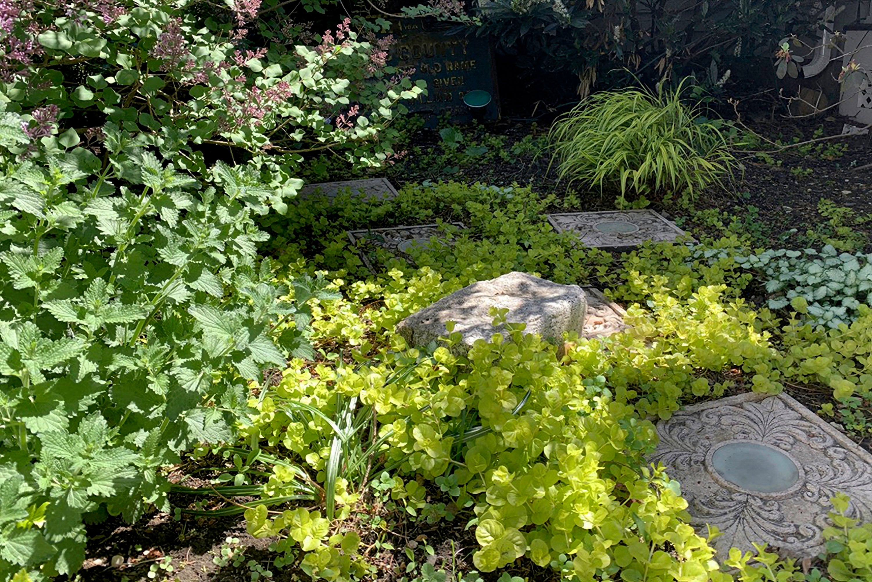 Gardening Shade