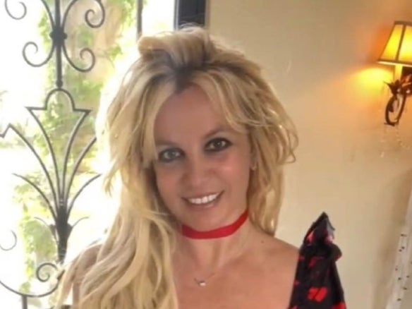 Britney Spears’ fans are supporting the singer after ‘photo dump’ of nude photos