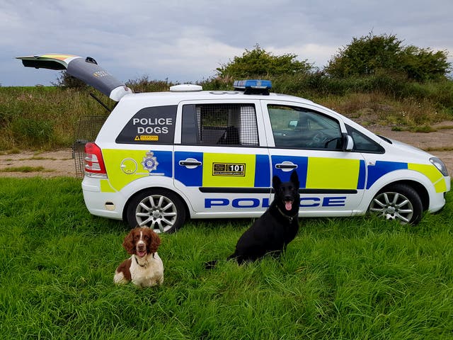 Bailey and Pedro in front of a police car (Thin Blue Paw Foundation)