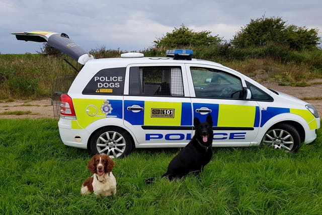 Bailey and Pedro in front of a police car (Thin Blue Paw Foundation)