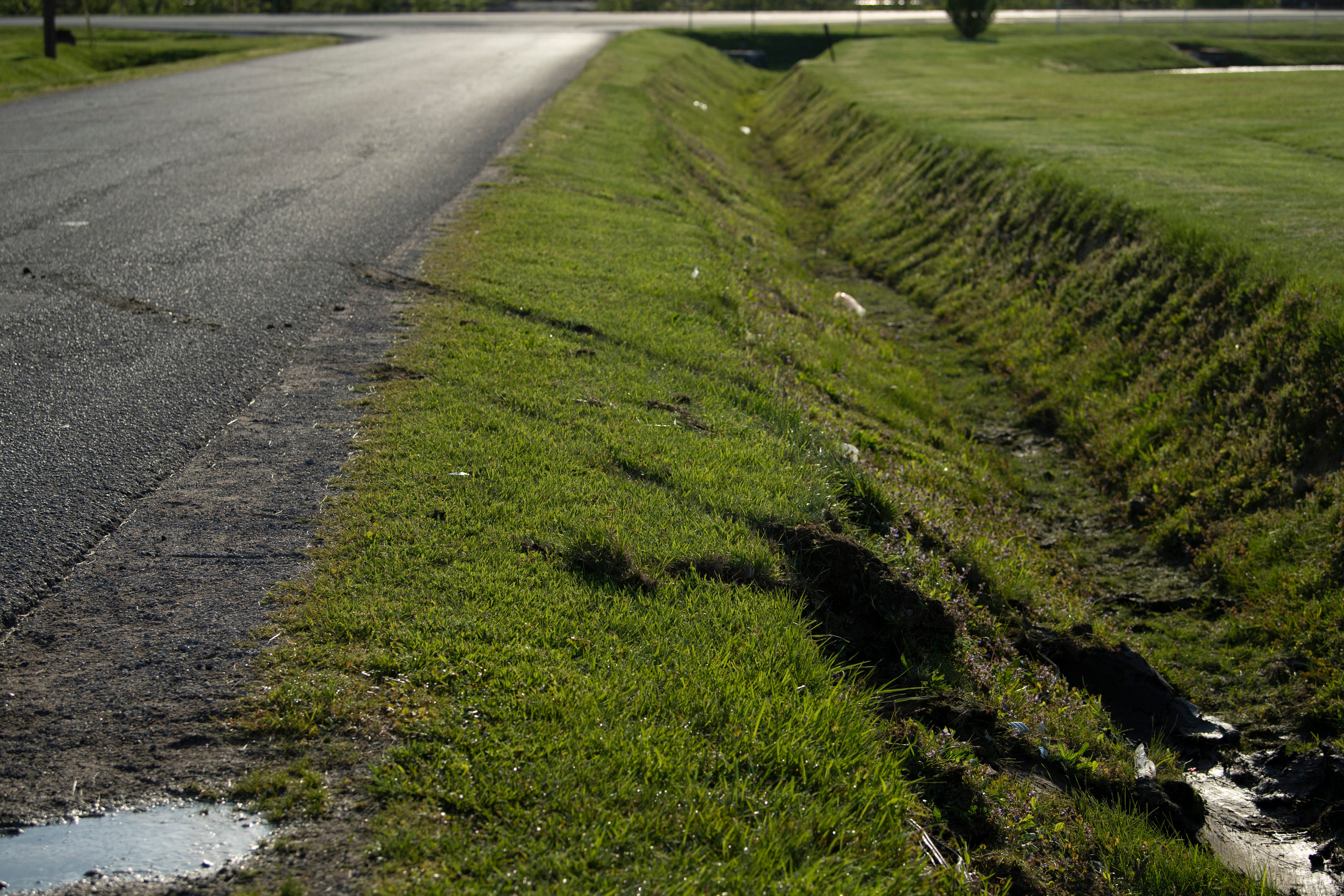 Skid marks on the grassy area from the car crash resulting in their capture