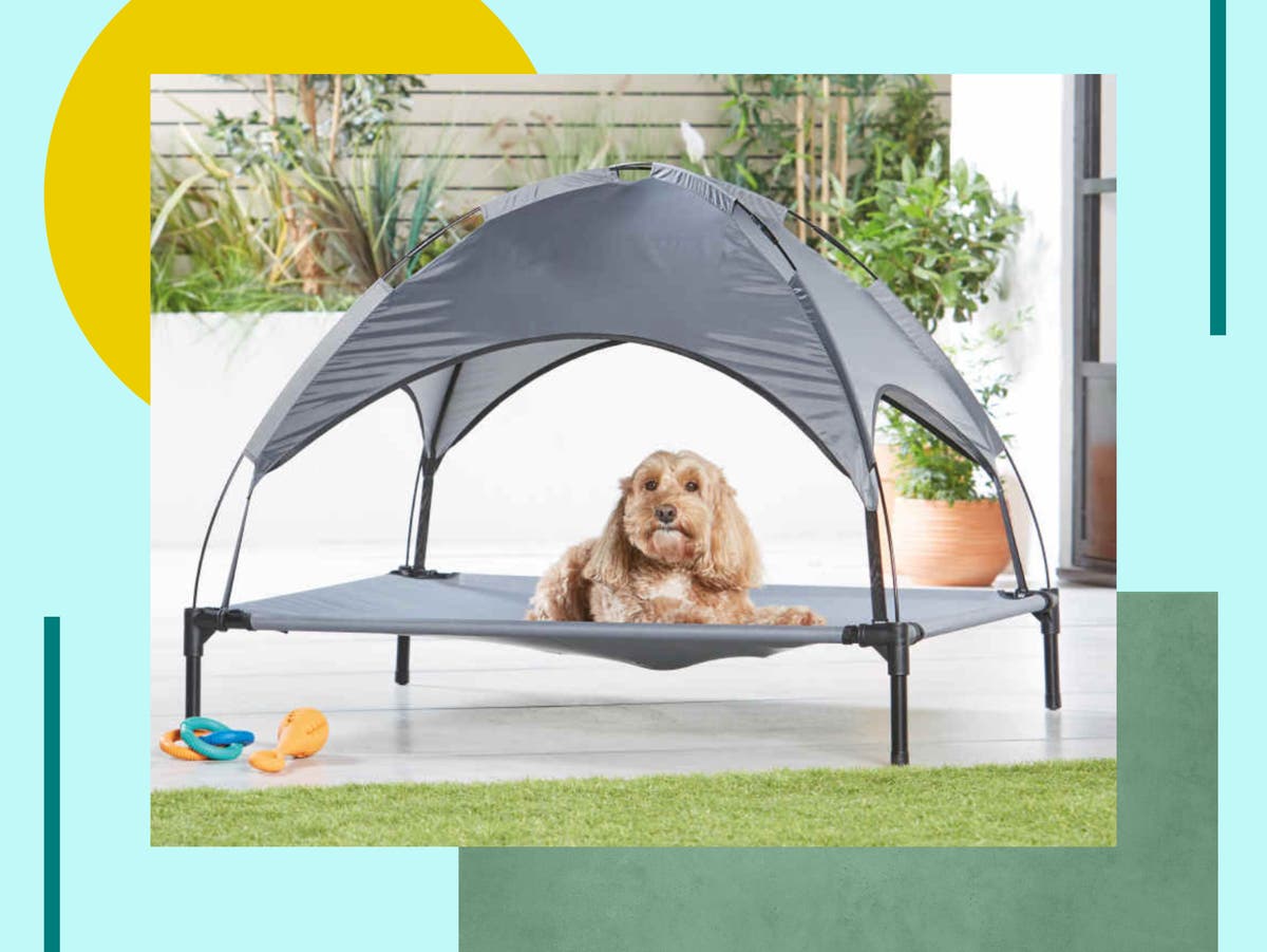 Aldi’s sunshade dog bed is the coolest pet accessory for summer – and it’s £19.99