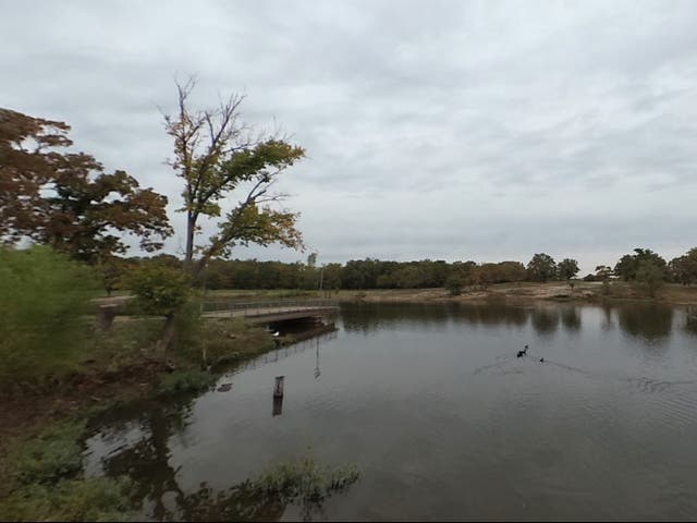 <p>Oklahoma’s Claremore Lake is not usually home to alligators </p>