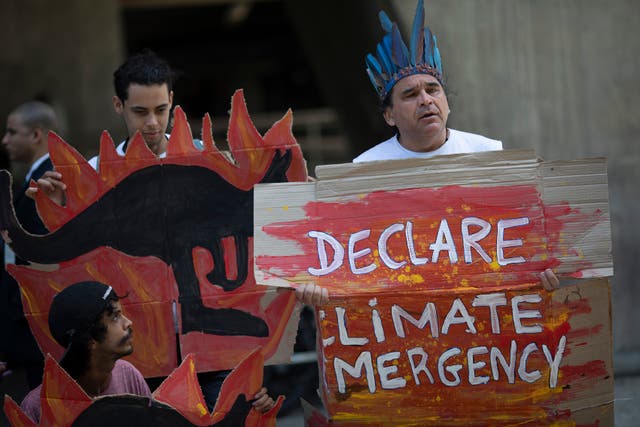 <p>Activists protest the Australian government's response to wildfires in Australia</p>