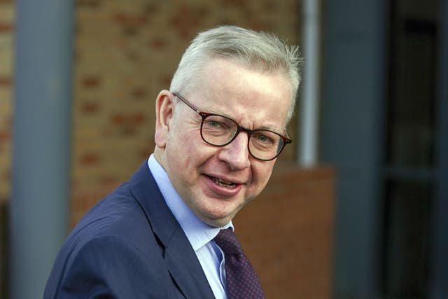 <p>Gove dismissed suggestions that he is among cabinet members opposed to tearing up the Northern Ireland protocol</p>