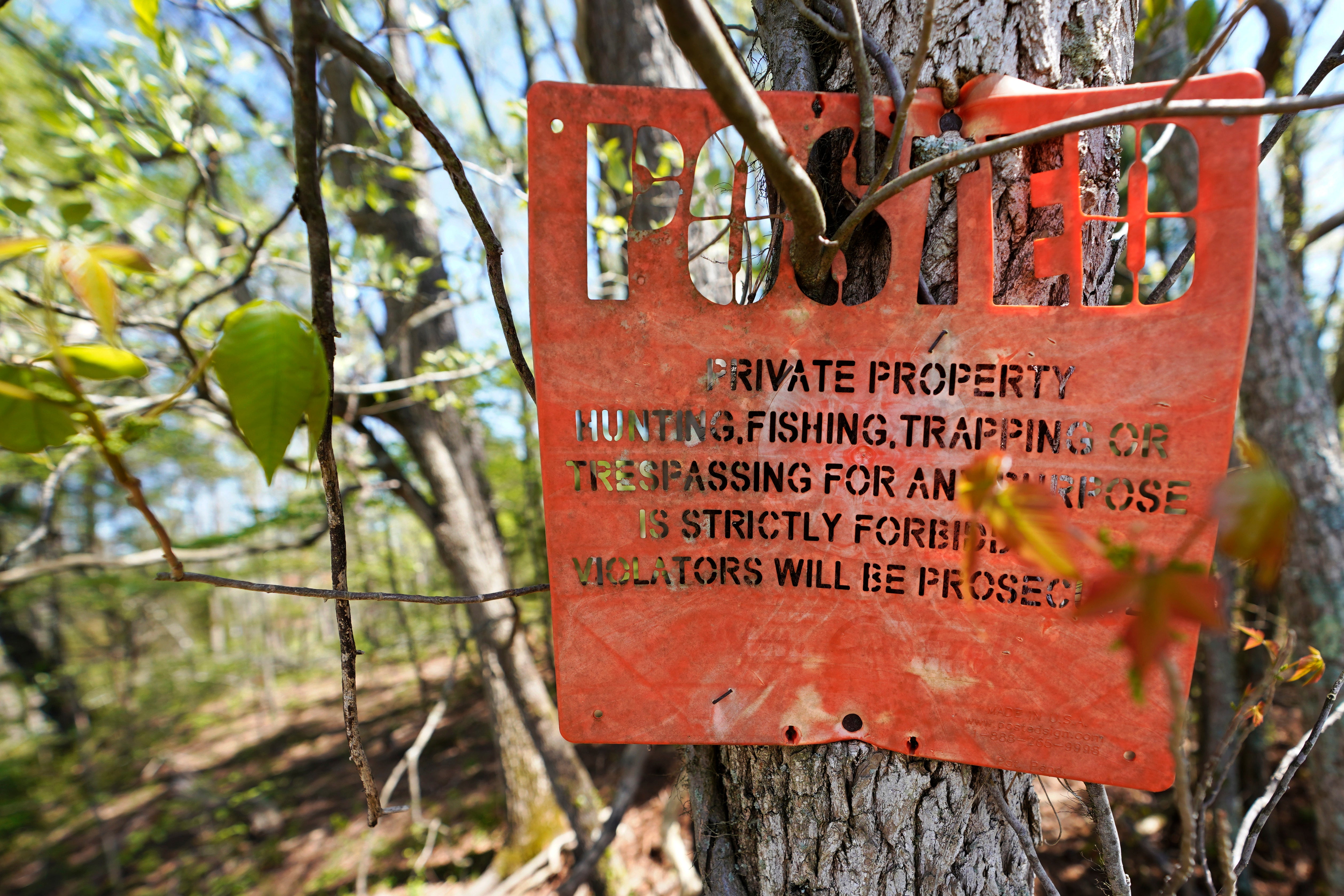 Hunting Dogs Lawsuit