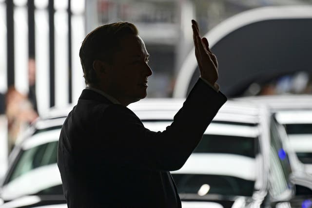 Musk Contradictions