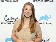Bindi Irwin reveals her daughter watches documentaries about late grandfather Steve: ‘They captivate her’