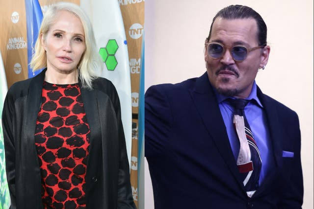 <p>Ellen Barkin (left) is a potential witness in the defamation trial opposing Amber Heard and Johnny Depp (right)</p>