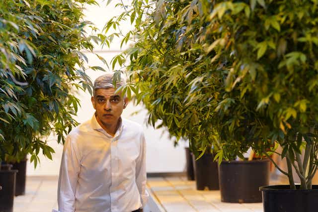 The Mayor of London has praised the “high standards” of legalised cannabis farms in the US, as he announced the formation of a new group to consider the decriminalisation of the drug in Britain (Stefan Rousseau/PA)