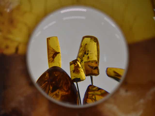 <p>Amber, Lithuania’s most prized asset</p>
