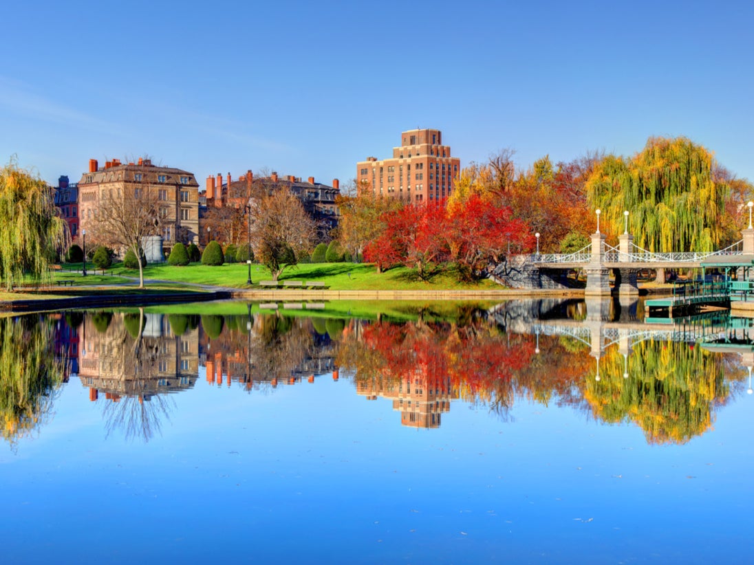 The Boston Public Garden