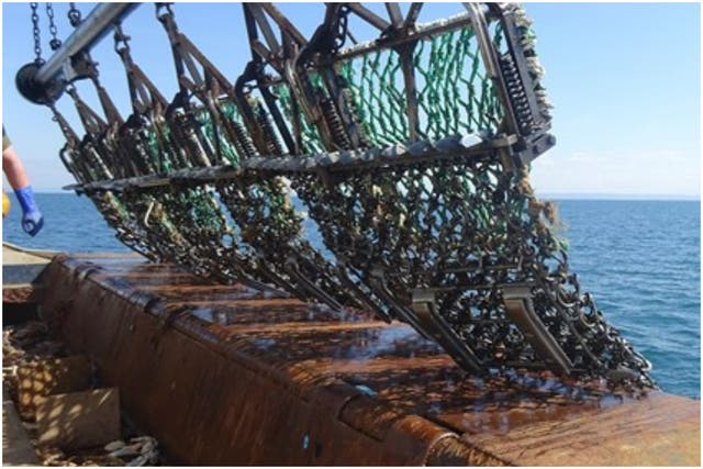 A new modification to kit that lifts steel bags used for scallop dredging off the sea floor has shown potential to reduce damage to species and fauna (Heriot-Watt University/PA)