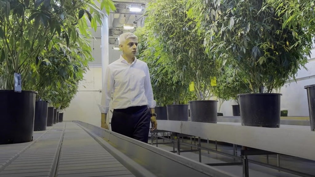 Sadiq Khan visits cannabis dispensary in LA to explore legalising drug