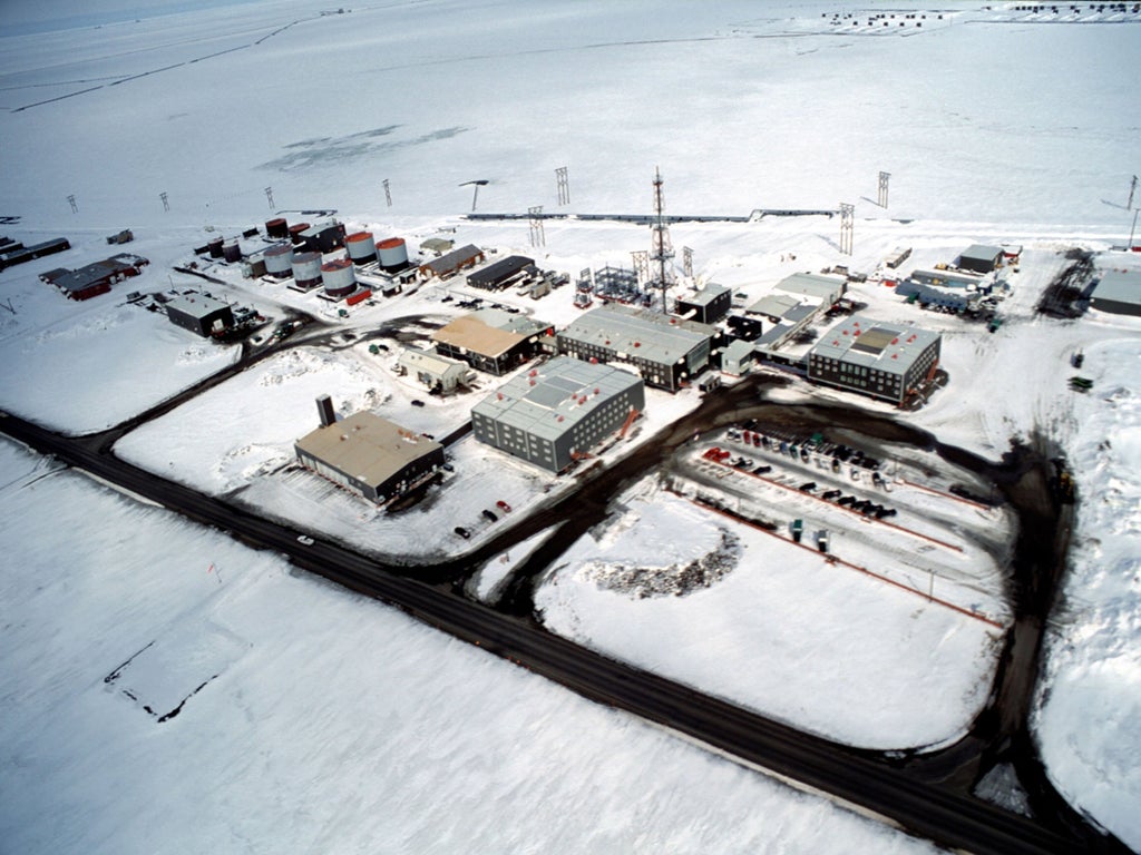 Biden administration cancels sale of oil and gas lease for drilling in Alaska