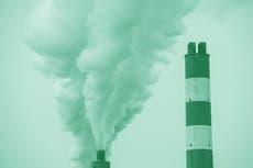 What is a carbon footprint and how can you reduce yours?