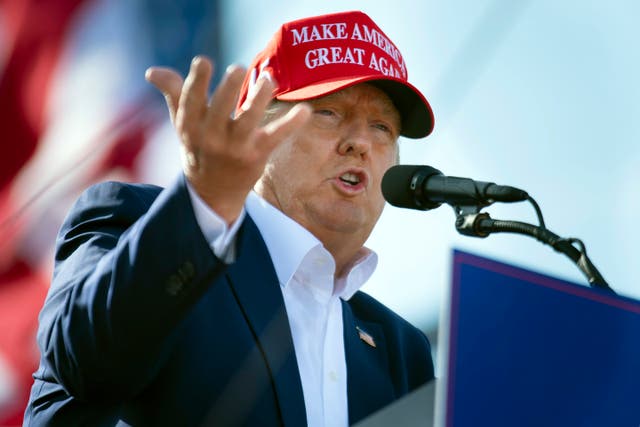<p>Donald Trump at a campaign rally </p>