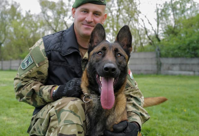 Hungary Bomb Dog