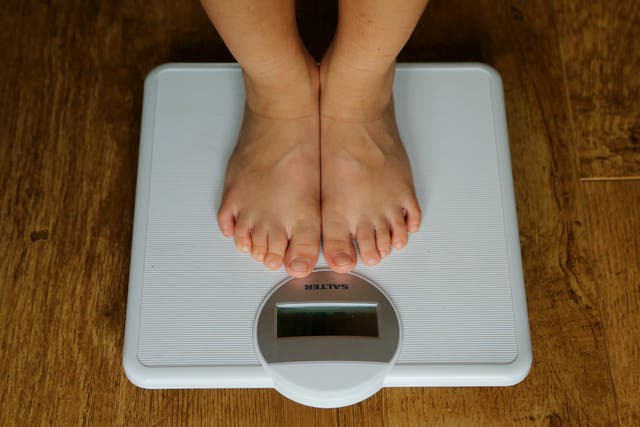 <p>The government said it remains committed to tackling childhood obesity (PA)</p>