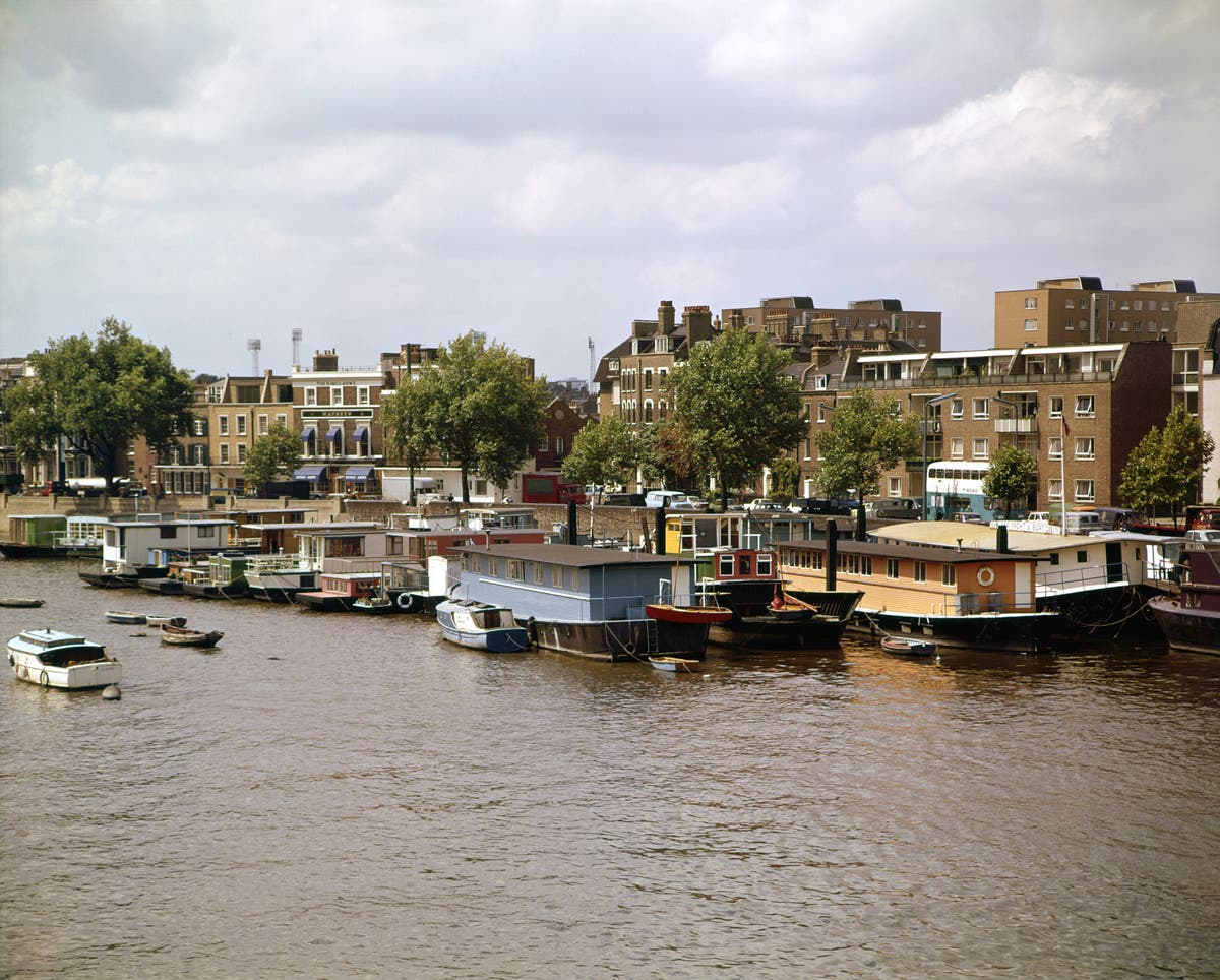 Woman, 41, and three dogs die in car crash on Chelsea street