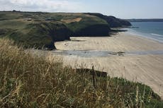 Horse rider injured after fall seeks £5m from dog owner