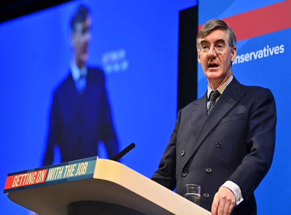 <p>Jacob Rees-Mogg is the minister for Brexit opportunities </p>