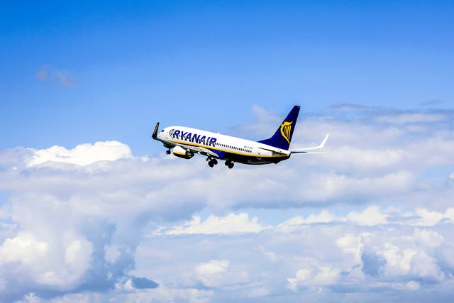 <p>A Ryanair Boeing 737-800 </p>