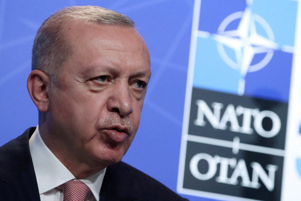 Turkey won’t approve Sweden and Finland’s Nato bids, Erdogan says
