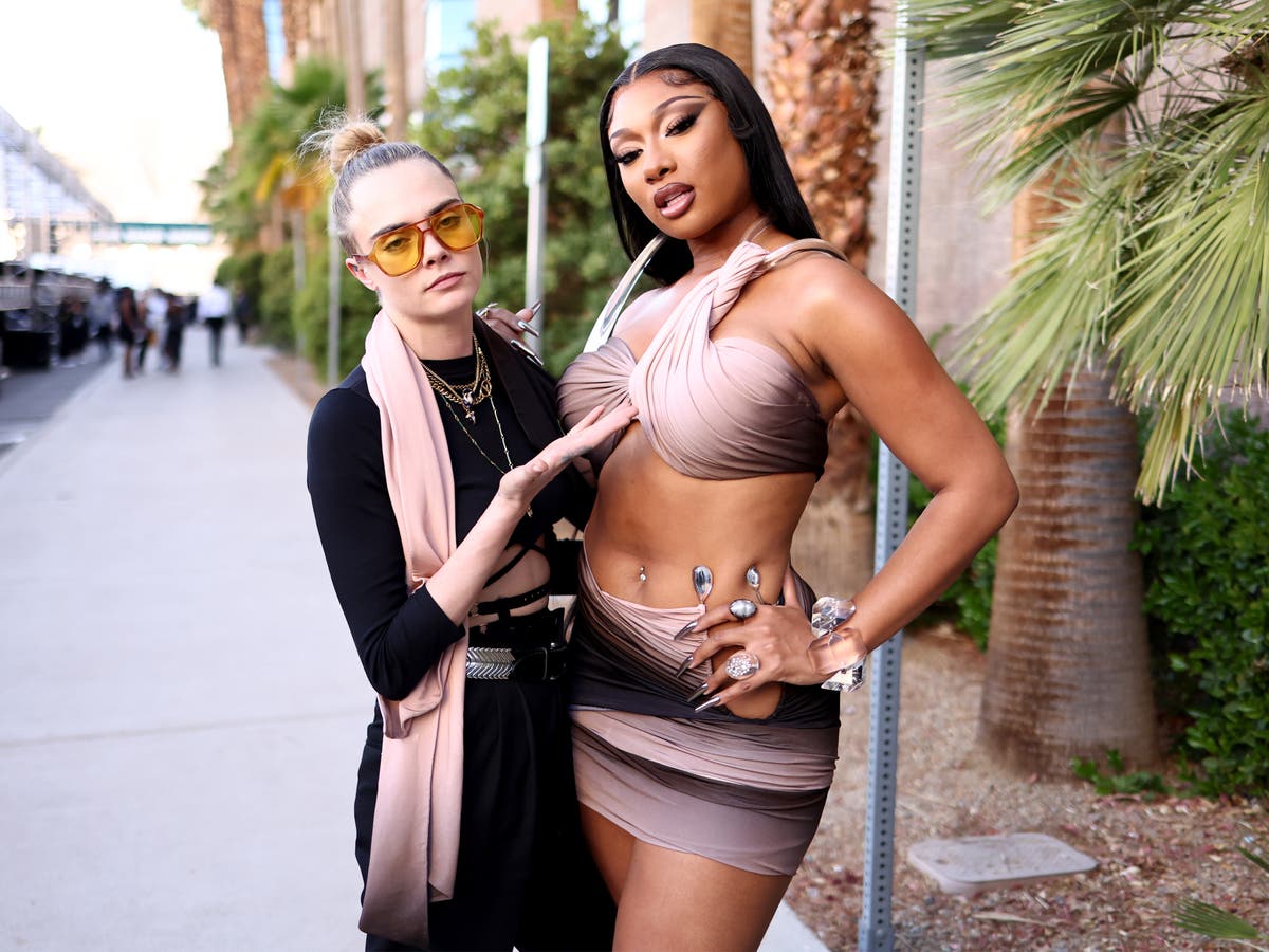 Cara Delevingne trolled over her meme-worthy obsession with Megan Thee Stallion at Billboard Music Awards