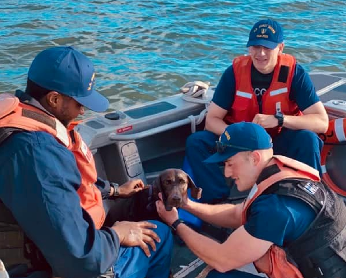 Coast Guard rescues dog swimming across a lagoon in North Carolina