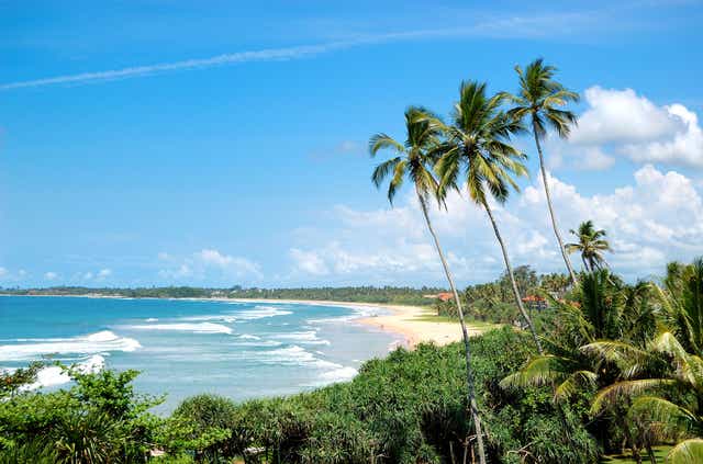 <p>Beaches near Bentota, Sri Lanka</p>
