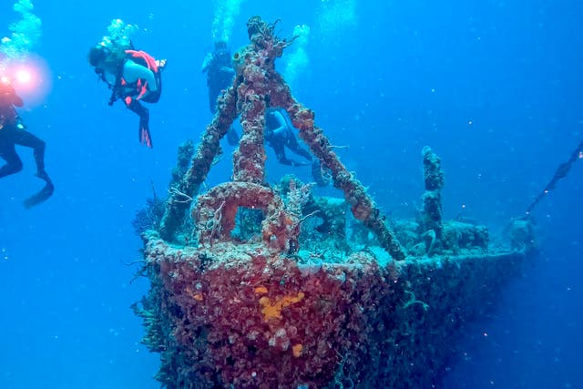 Artificial Reef Florida Keys