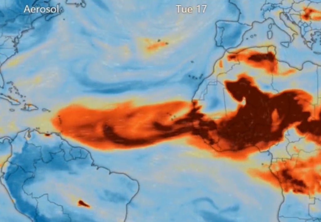 Saharan dust blown across Atlantic to Caribbean, satellite images show