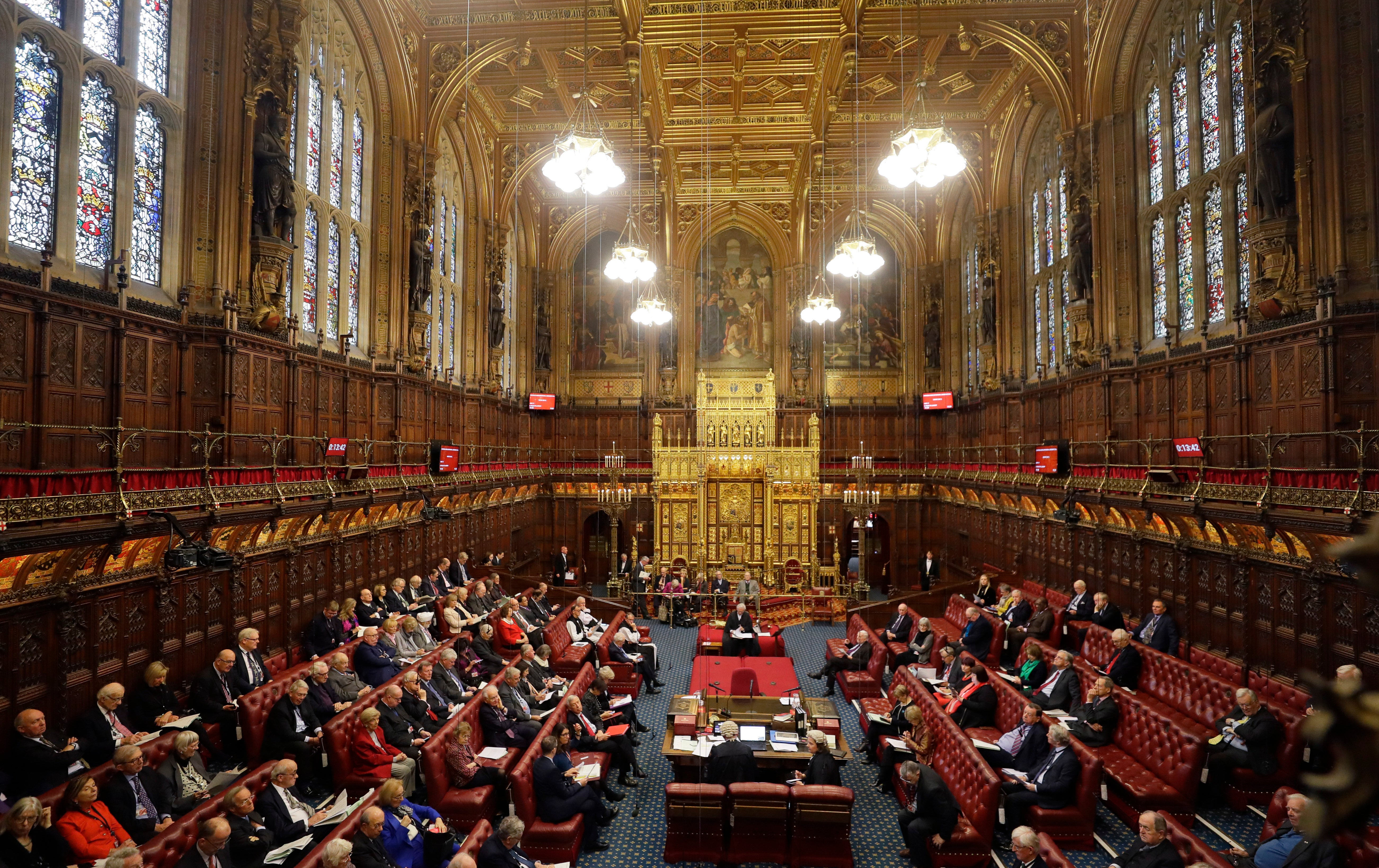 A leading women’s rights campaigner and an internationally-recognised nature expert are to be appointed to the House of Lords (Eddie Mulholland/The Daily Telegraph/PA)