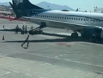 The dog running away from airport staff