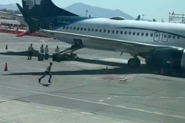 <p>The dog running away from airport staff</p>