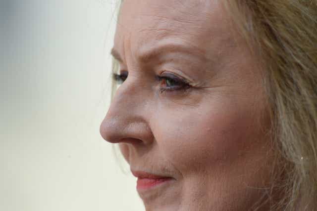 <p>Liz Truss told the Commons the move was needed to reduce ‘unnecessary bureaucracy’ and to protect the Good Friday Agreement</p>