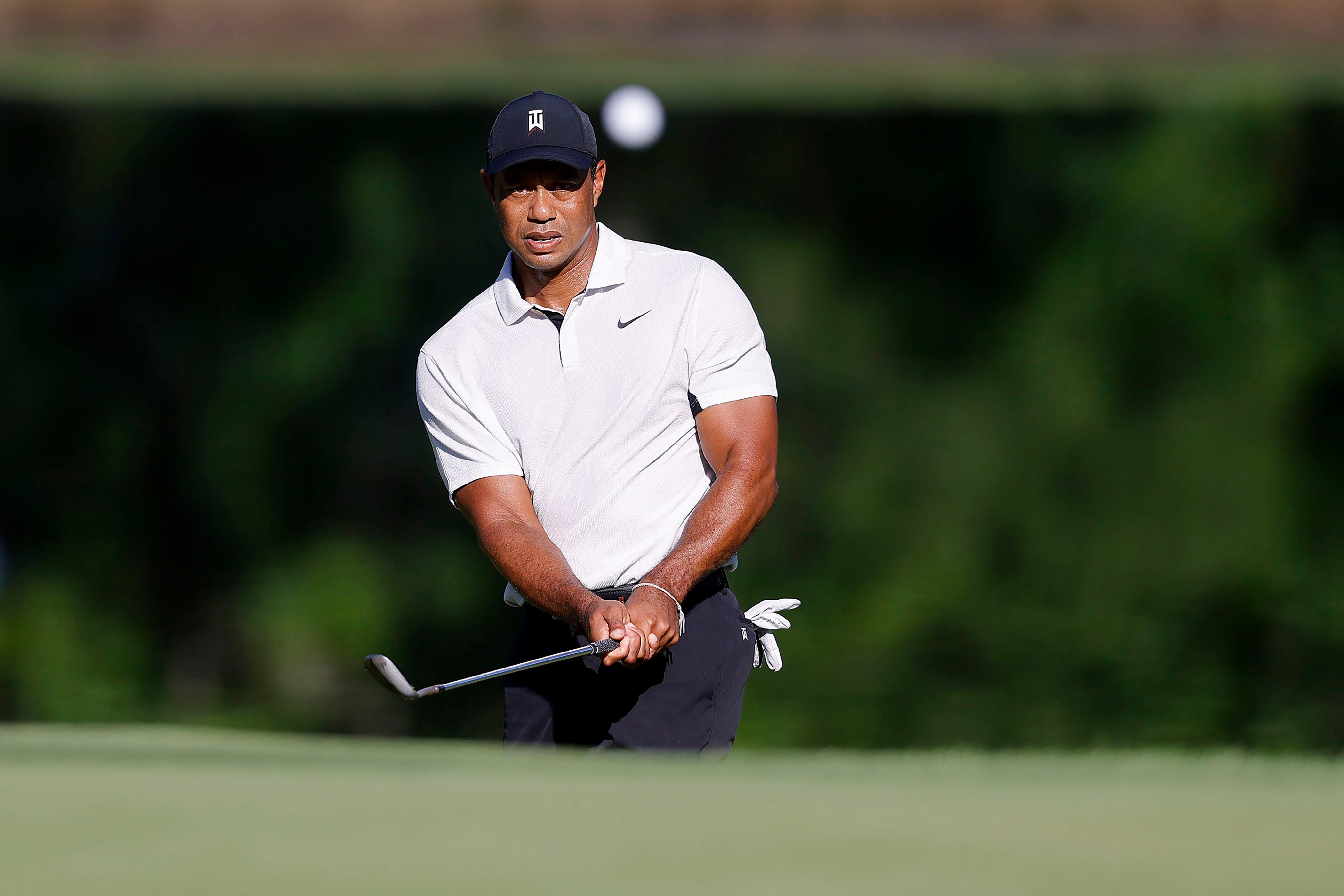 Tiger Woods confident he can scale another mountain and win PGA Championship The Independent