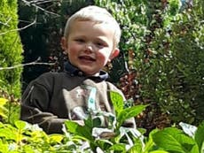 Daniel John Twigg: ‘Happy, kind and caring’ boy, 3, killed in dog attack ‘loved being around animals’