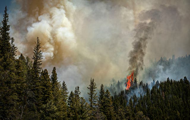 Wildfires New Mexico