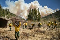 Firefighters slow grow of massive New Mexico wildfire