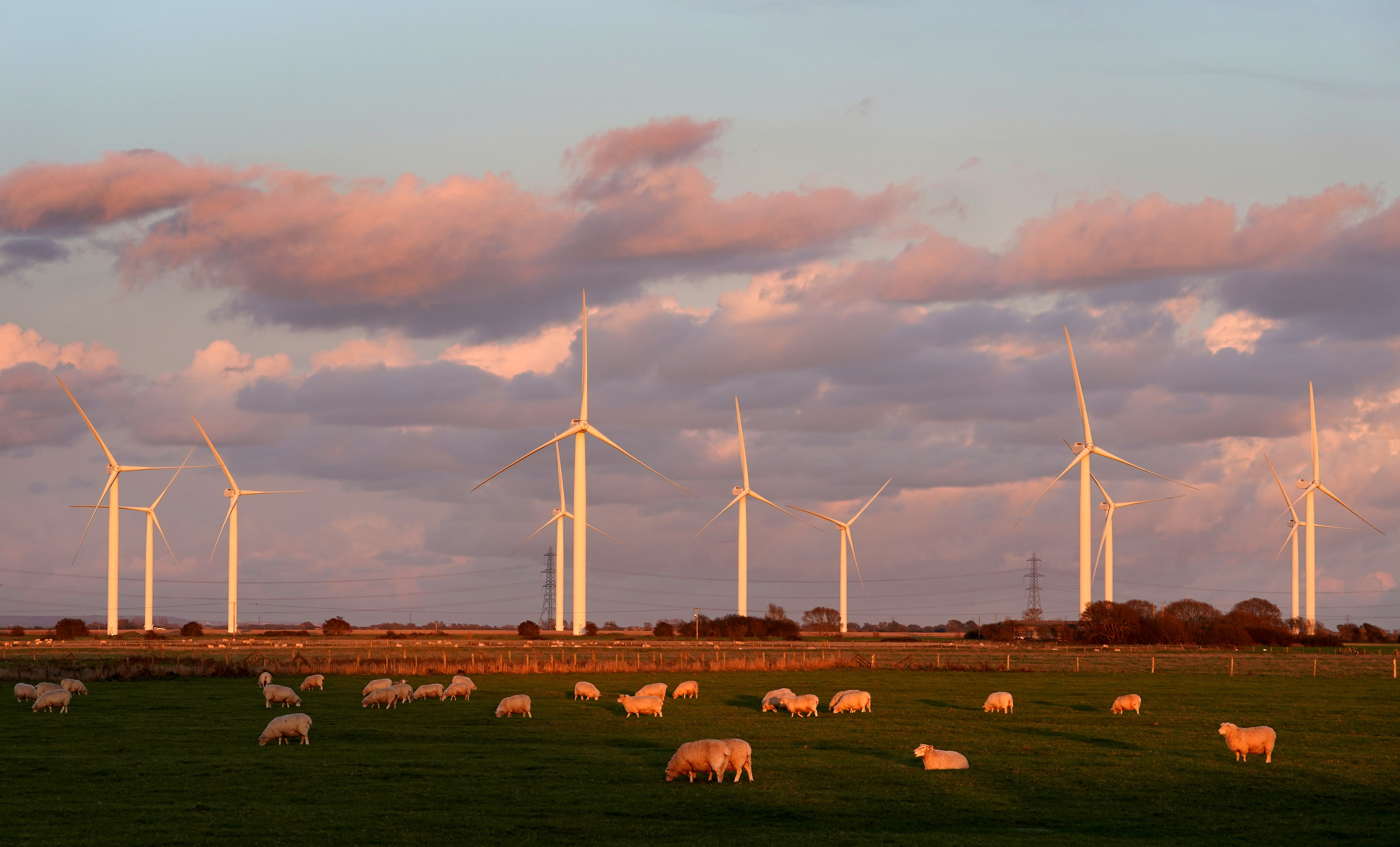 Anne-Marie Trevelyan said communities can already use onshore wind funding to reduce their energy bills (PA)