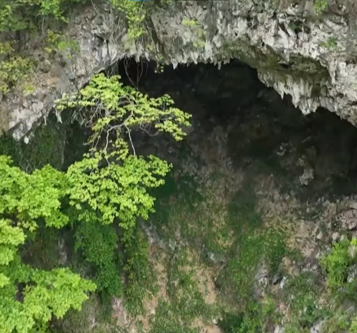 Chińscy naukowcy znaleźli w Guangxi . głęboki na 630 stóp krater z całkowicie ukrytym lasem