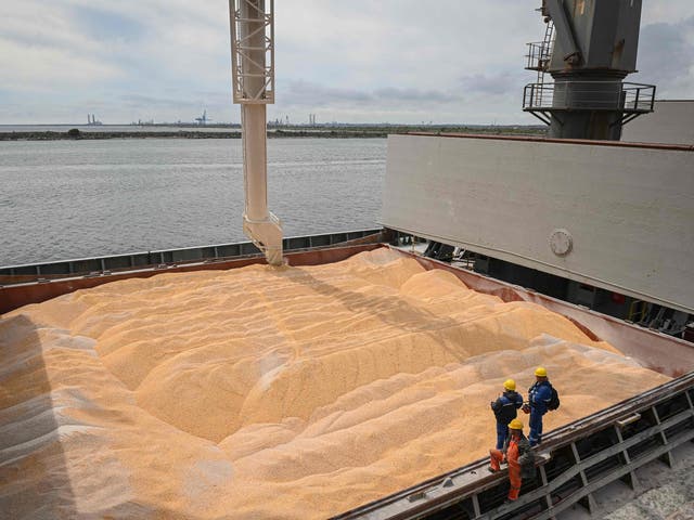 <p>Ukraine is among the world’s biggest agricultural exporters </p>