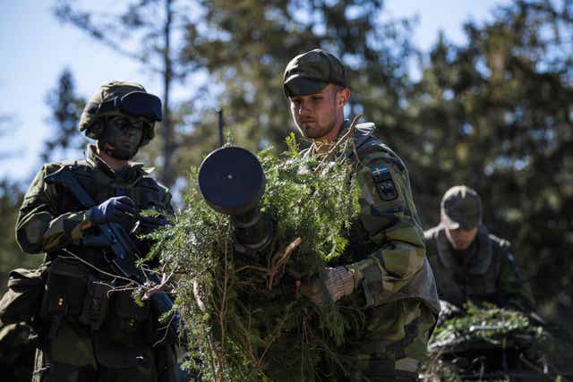 <p>Swedish Home Guard soldiers: Finland and Sweden are expected to announce this week whether to apply to join NATO</p>