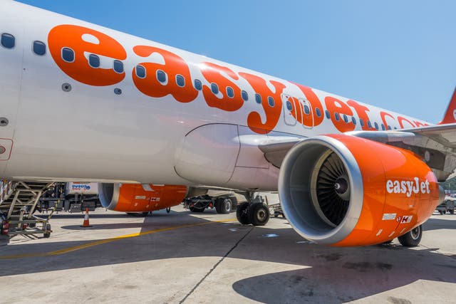 <p>Several customers made it on to their easyJet aircraft before their flight was cancelled </p>